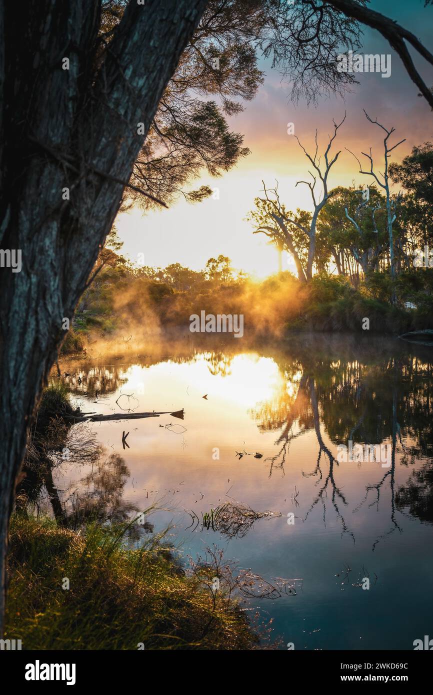The misty lake Stock Photo - Alamy