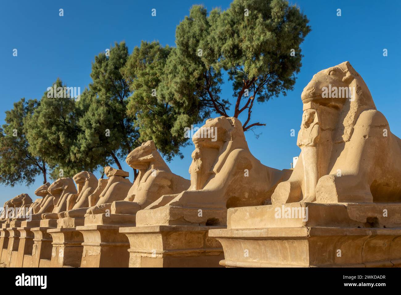 Ram-headed sphinxes in Karnak temple complex on the east bank of the Nile river in Luxor, Egypt Stock Photo