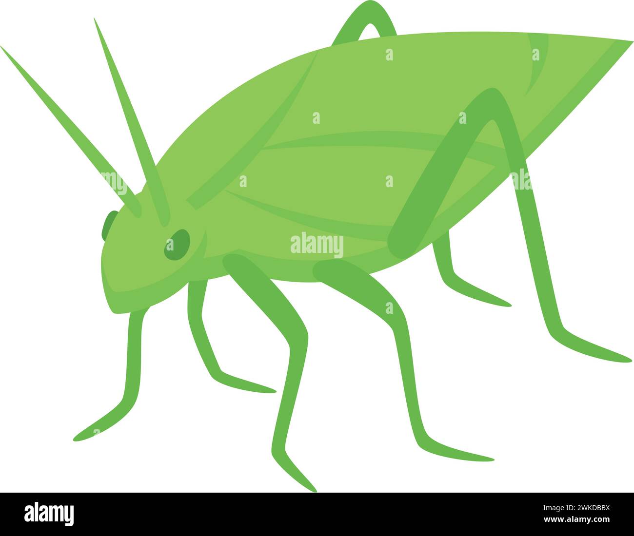 Female green grasshopper icon isometric vector. Insect bug. Creature fauna Stock Vector