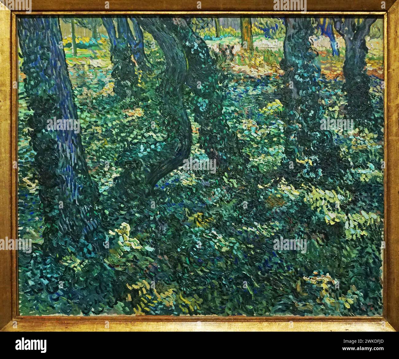 Undergrowth (1889) by Vincent van Gogh (1853-1890 Stock Photo - Alamy