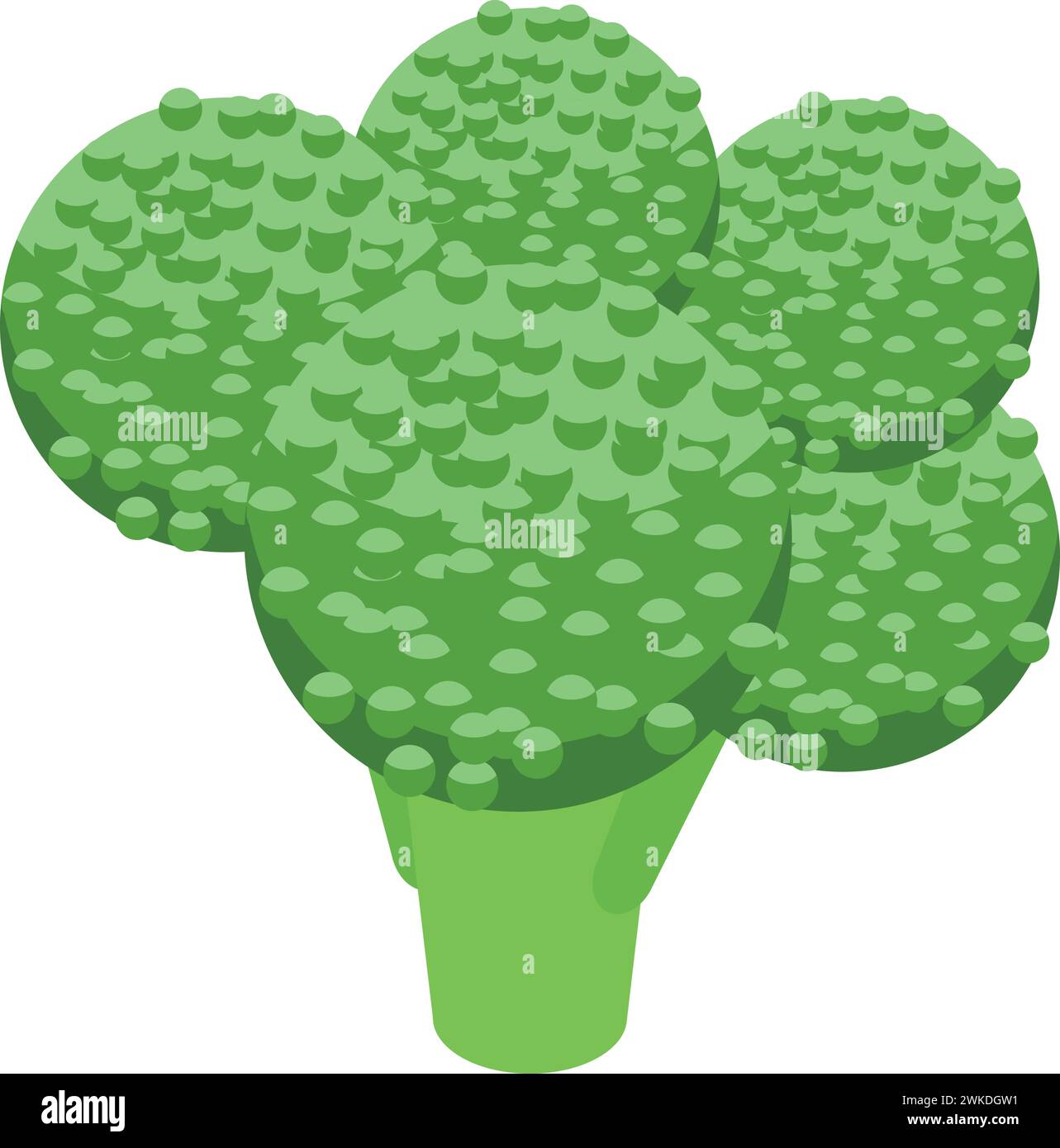 Broccoli eco product icon isometric vector. Health protein. Package ...