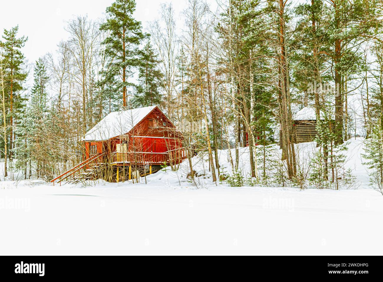 Wooden house on the shore of a forest lake. Snowy winter landscape. Stock Photo