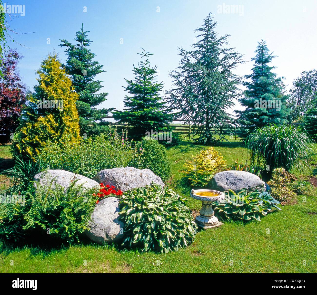 Gartenanlage am Hang interessant gestaltet mit Ziergehoelzen, Funkien
