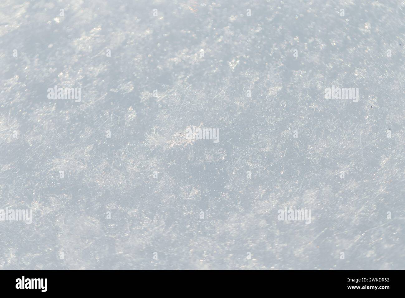 White snow texture macro. Winter background. Snowflakes Stock Photo