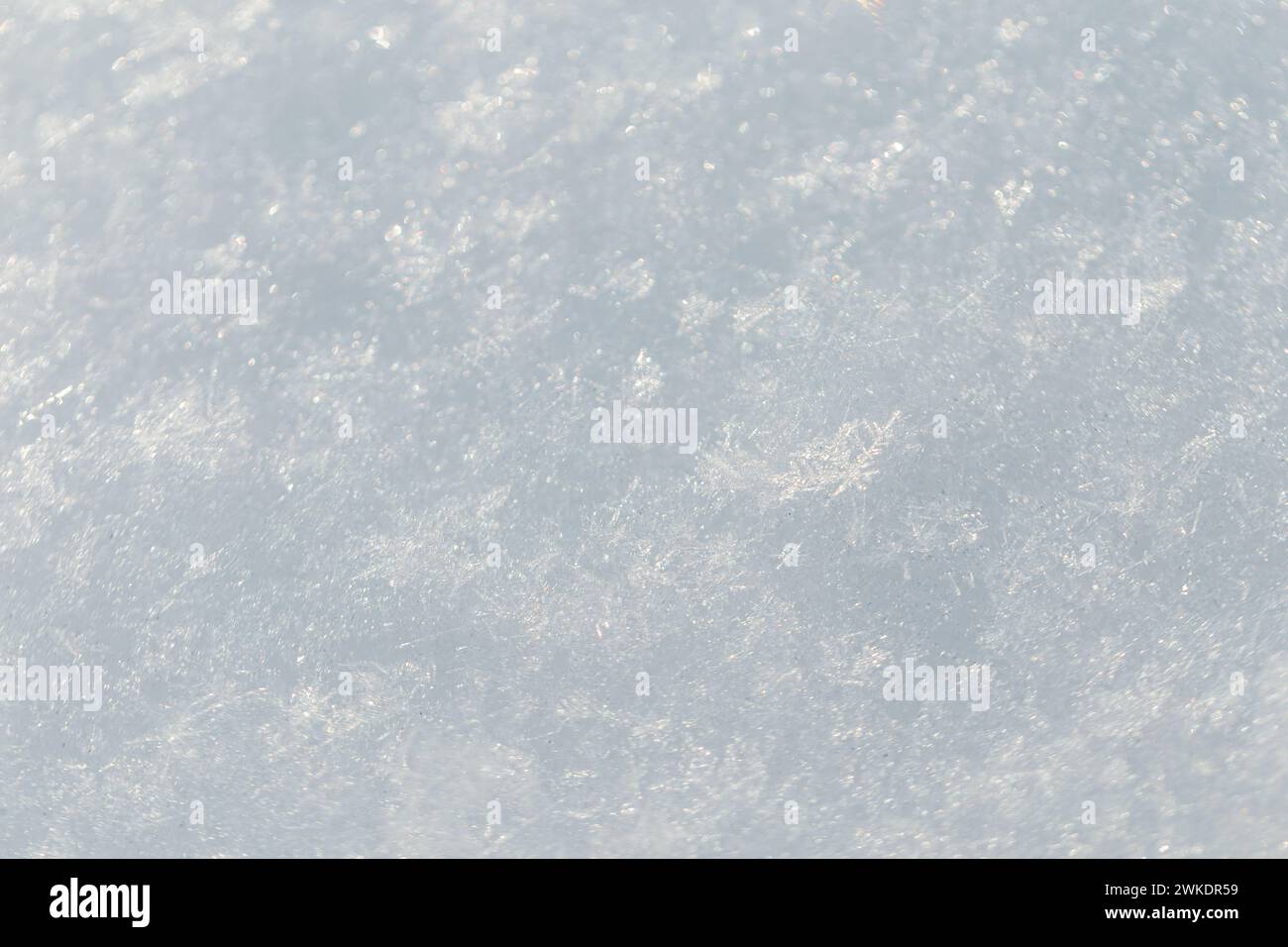 White snow texture with snowflakes, close-up Stock Photo