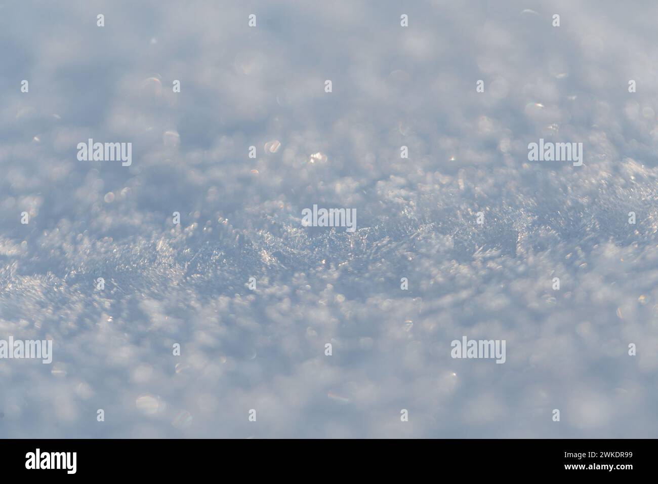 Snow texture macro with snowflakes. Winter background Stock Photo