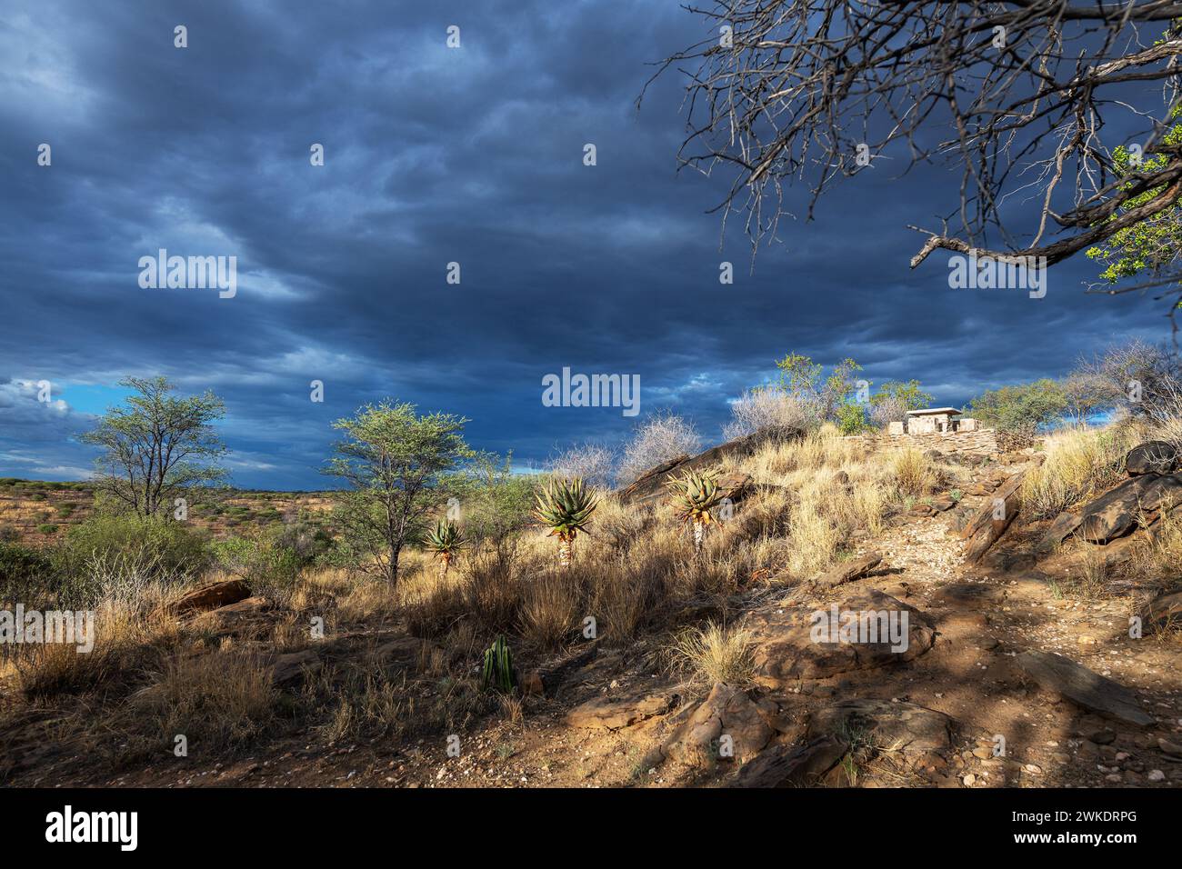 Rain clouds over the Khomas Highlands, Namibia Stock Photo