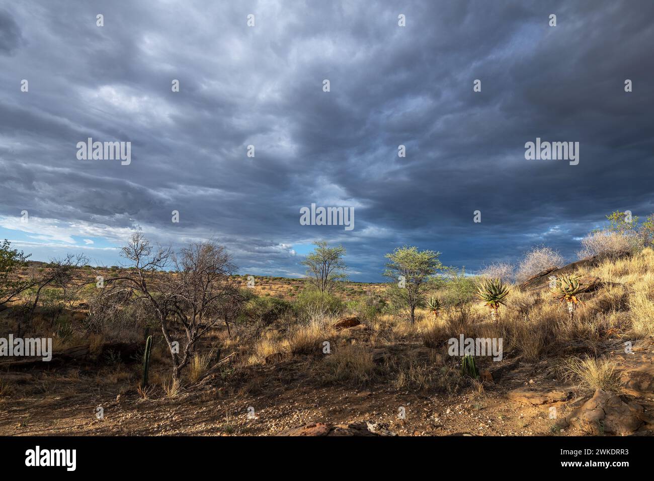 Rain clouds over the Khomas Highlands, Namibia Stock Photo