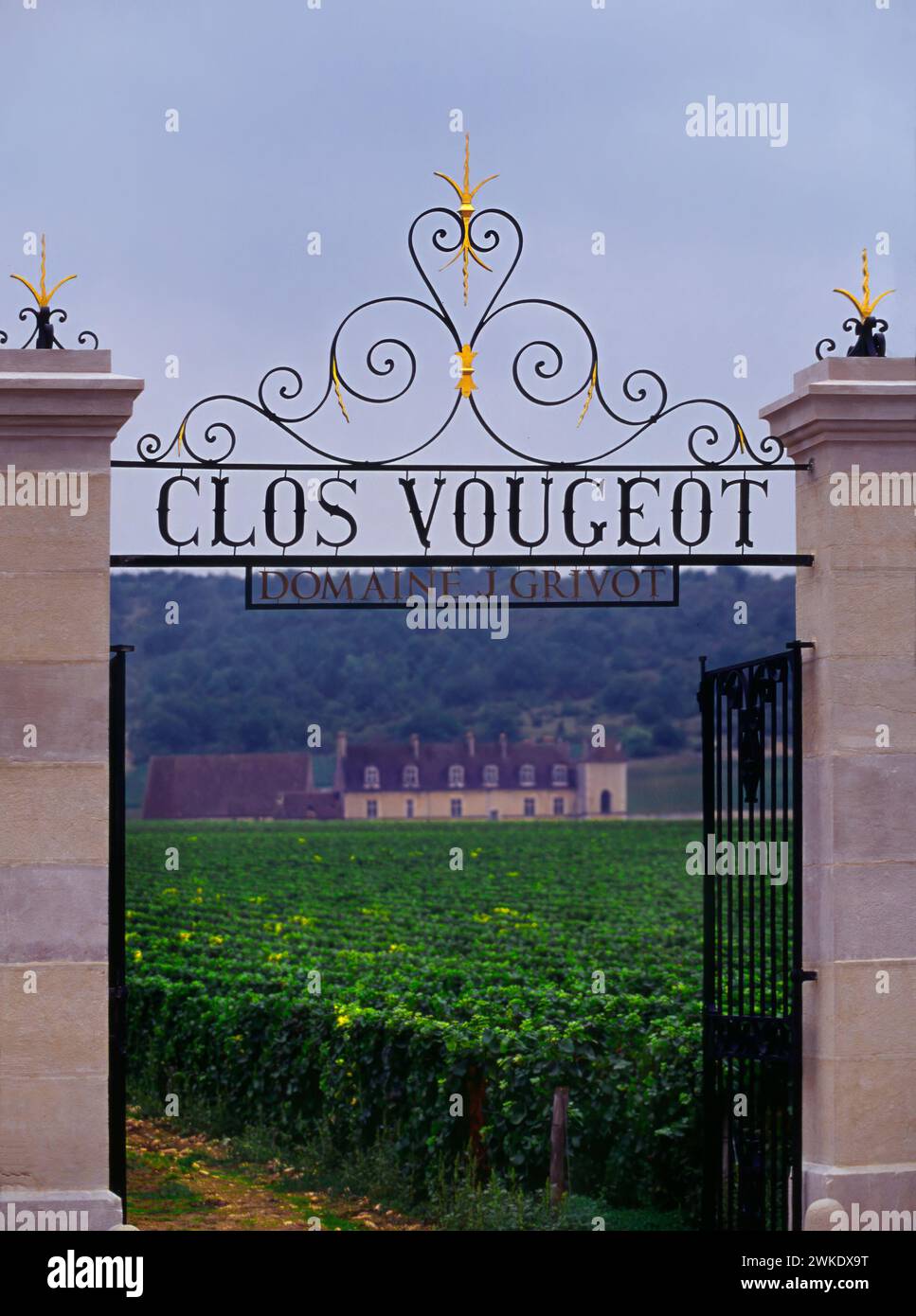 Vineyards of Clos de Vougeot, Vougeot, Côte-d'or, Burgundy, France Stock Photo