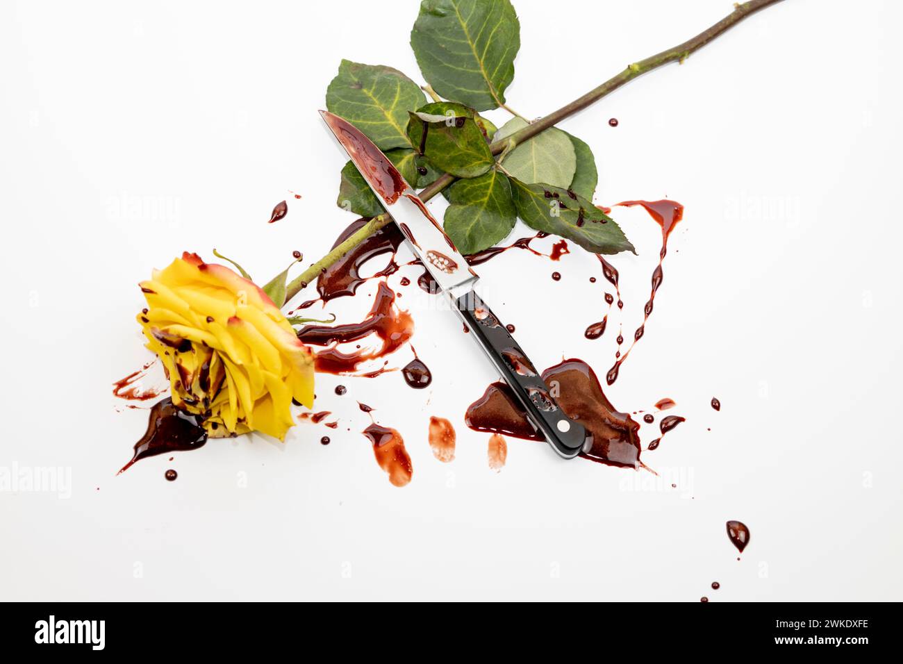 The beautiful yellow rose with knife on bloody background. Stock Photo