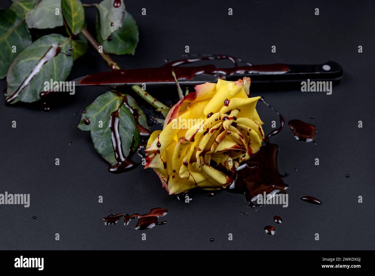 The beautiful yellow rose with knife on bloody background. Stock Photo