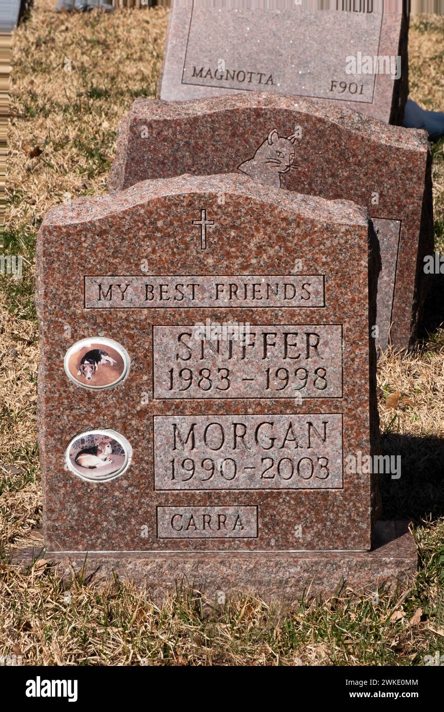 A headstone for 2 dogs called them the owner's best friends. At a pet cemetery in Hartsdale, Westchester, New York. Stock Photo
