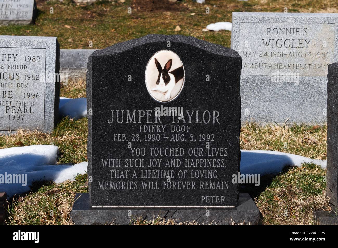 A headstone of Jumper Taylor with a photo & lovely inscription. At a pet cemetery in Westchester, New York. Stock Photo