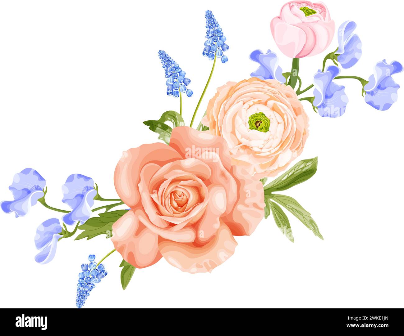 Beautiful sweet pink rose Stock Vector Images - Alamy