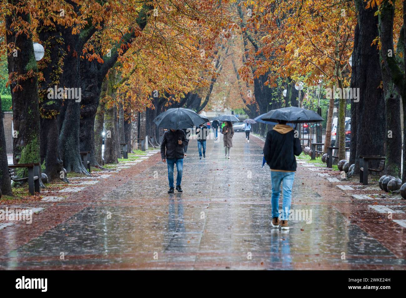Fray Francisco de Vitoria walk, autumn in the rain, Vitoria, Basque country, Spain. Stock Photo