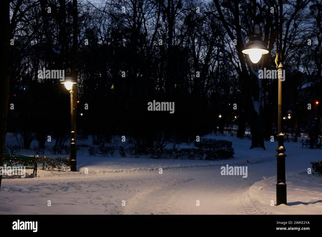 Trees, street lamps and pathway covered with snow in evening park Stock ...