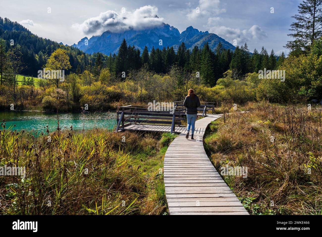 Zelenci Nature Reserve, Drni Swamp, Triglav National Park, Julian alps. Slovenia, Central Europe,. Stock Photo