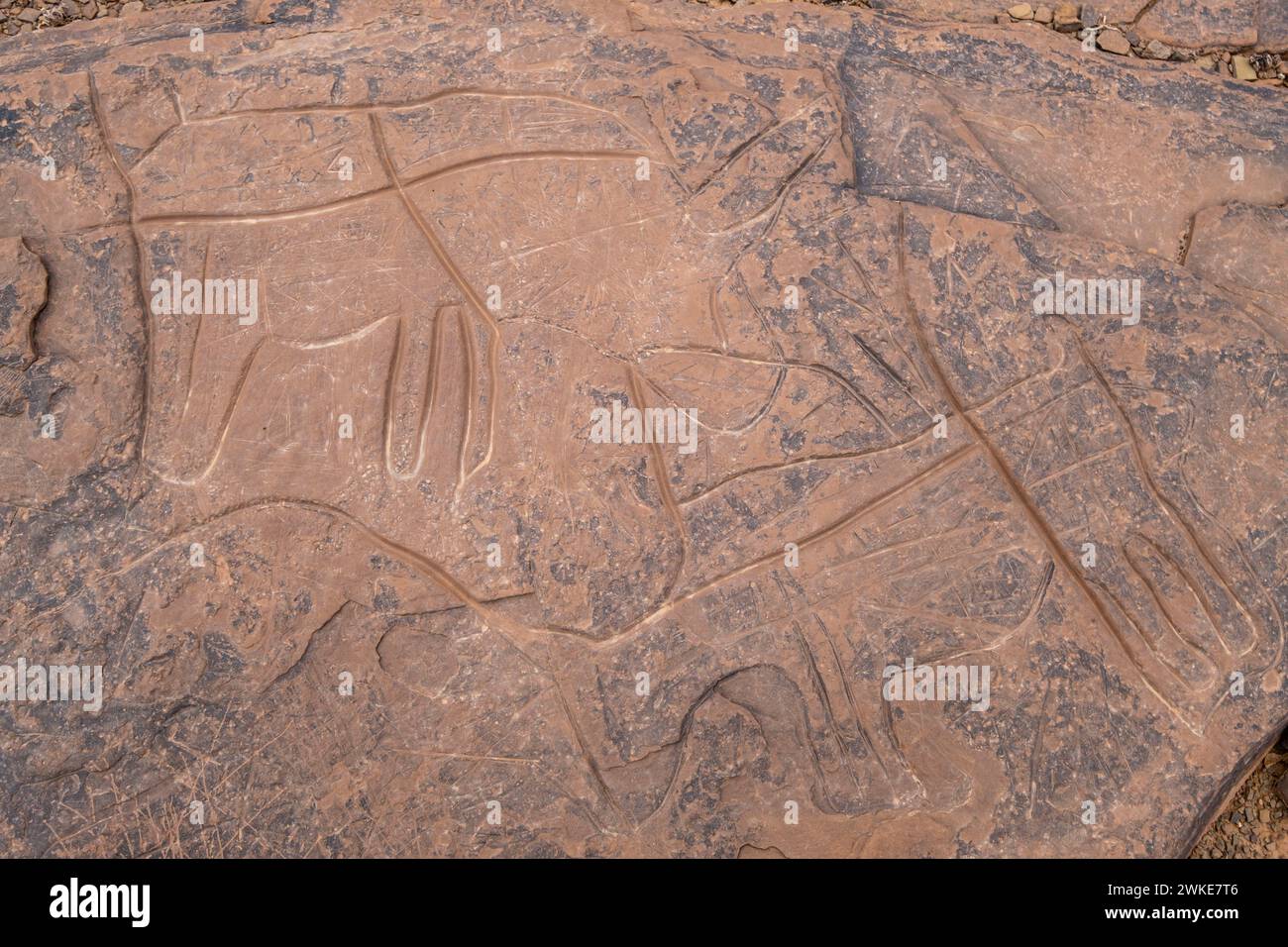 petroglifo, yacimiento rupestre de Aït Ouazik, finales del Neolítico, Marruecos, Africa. Stock Photo