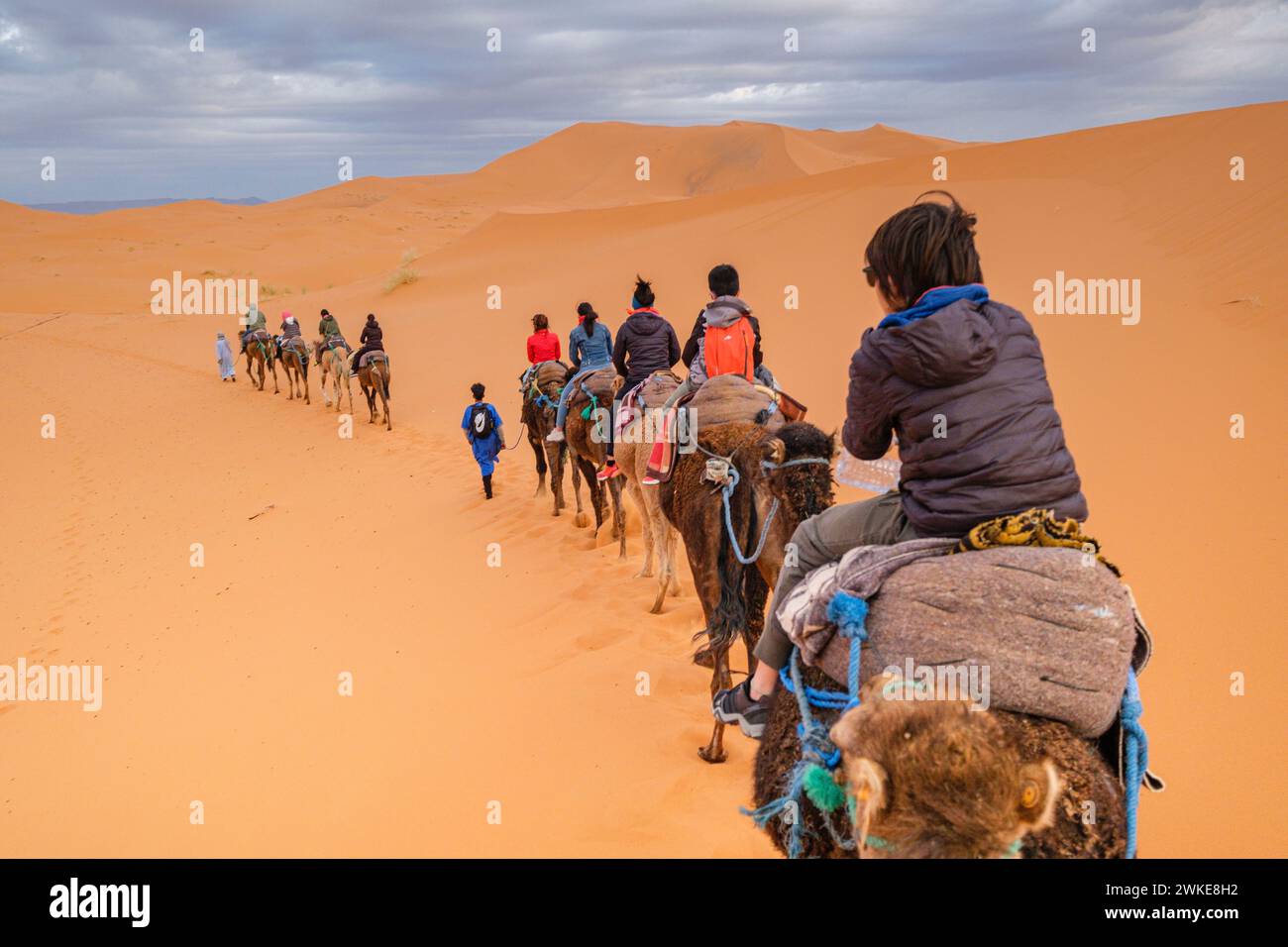 Erg Chebbi, Taffilalet, Rissani, Marruecos, Africa. Stock Photo