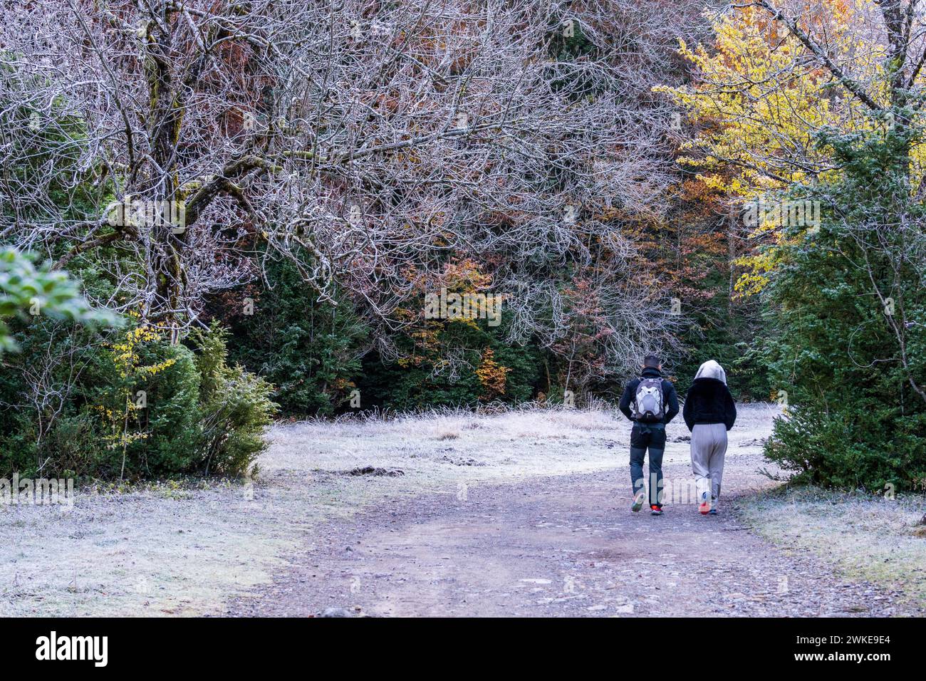 couple walking along an adapted path, Ordesa i Monte Perdido National Park, Province of Huesca, Aragon. Stock Photo