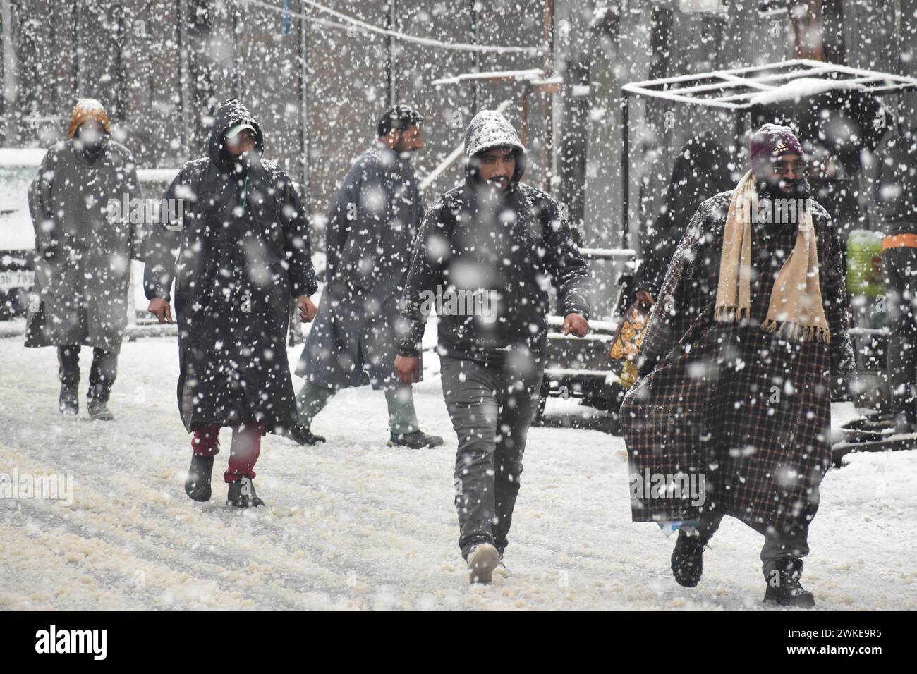 2024 prediction hires stock photography and images Alamy