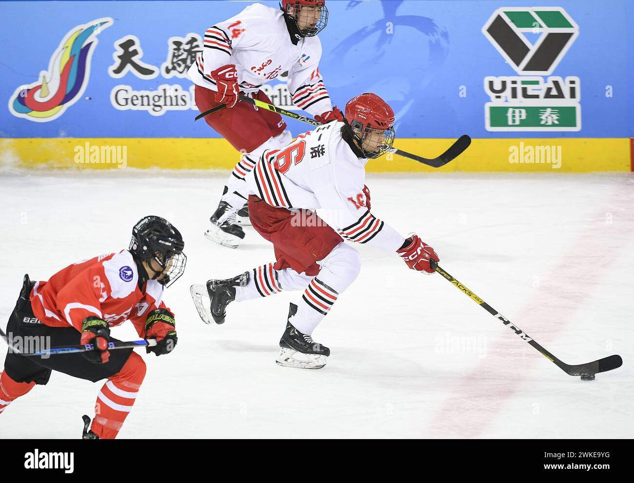 Hulun Buir, China's Inner Mongolia Autonomous Region. 20th Feb, 2024. Wang Yinuo (R) of