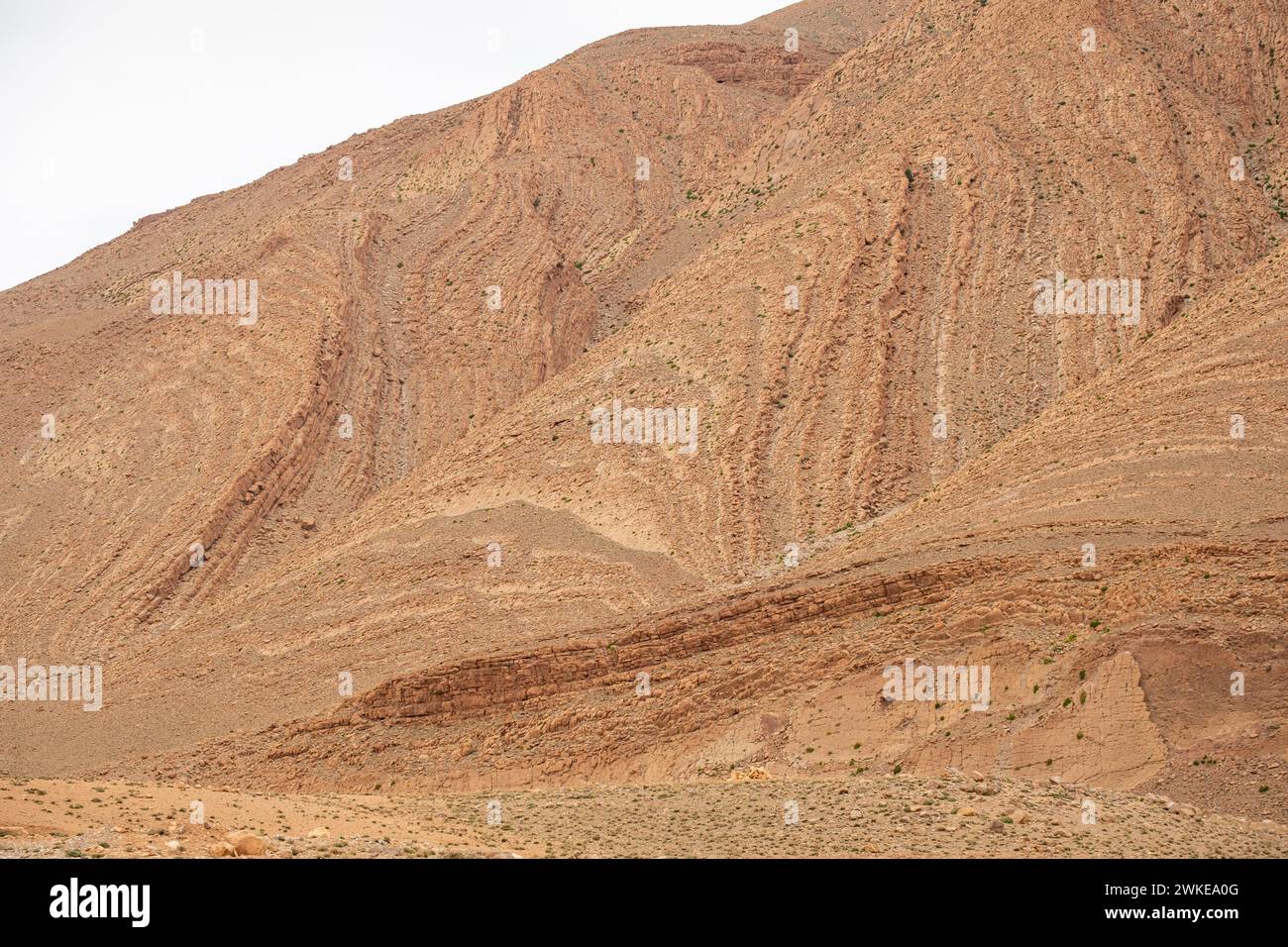 plegamientos geomorfologicos, Gargantas del Todgha, Alto Atlas, Marruecos, Africa. Stock Photo