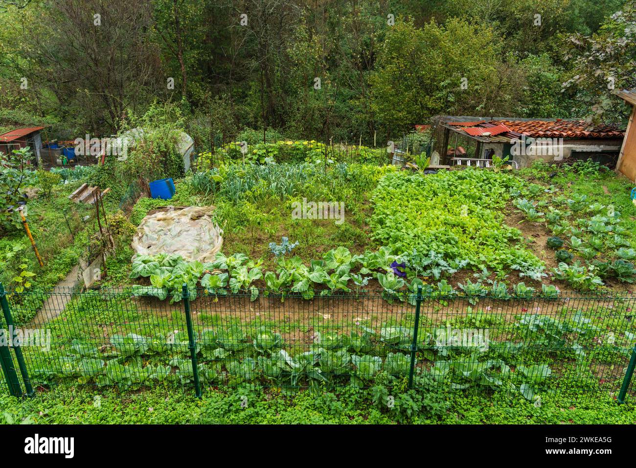 citizen garden, Segura, Idiazabal, Gipuzkoa, Basque country, Spain. Stock Photo