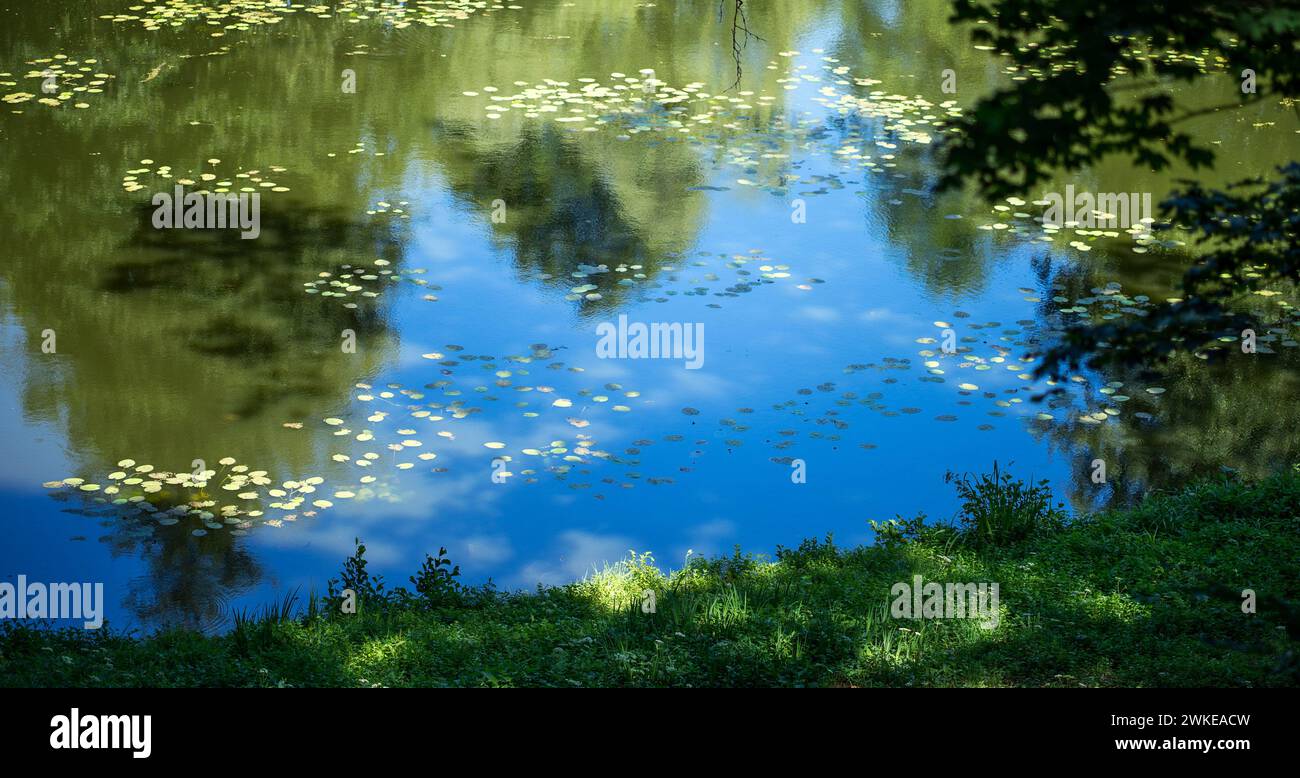 Trees reflecting in a pond hi-res stock photography and images - Alamy