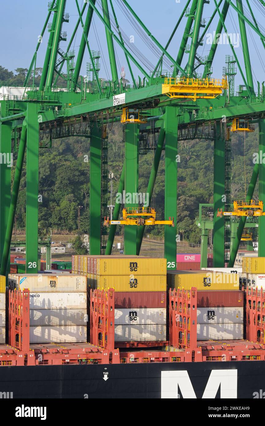 Panama City, Panama - 23 January 2024: Cranes unloading a MSC container ...