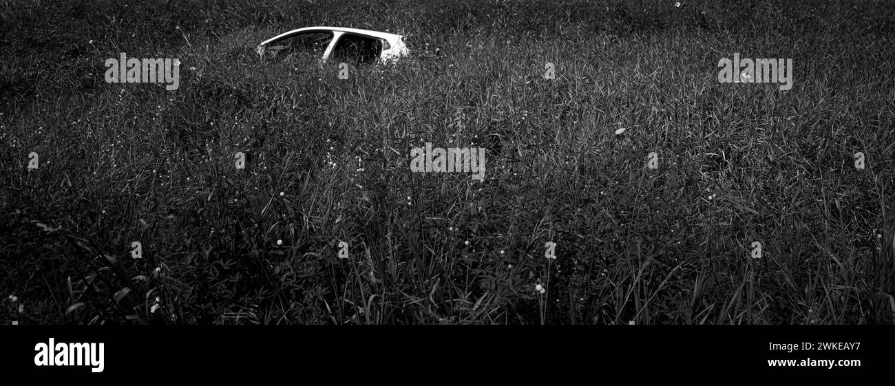 wrecked car drowned in tall grass and flowers Stock Photo