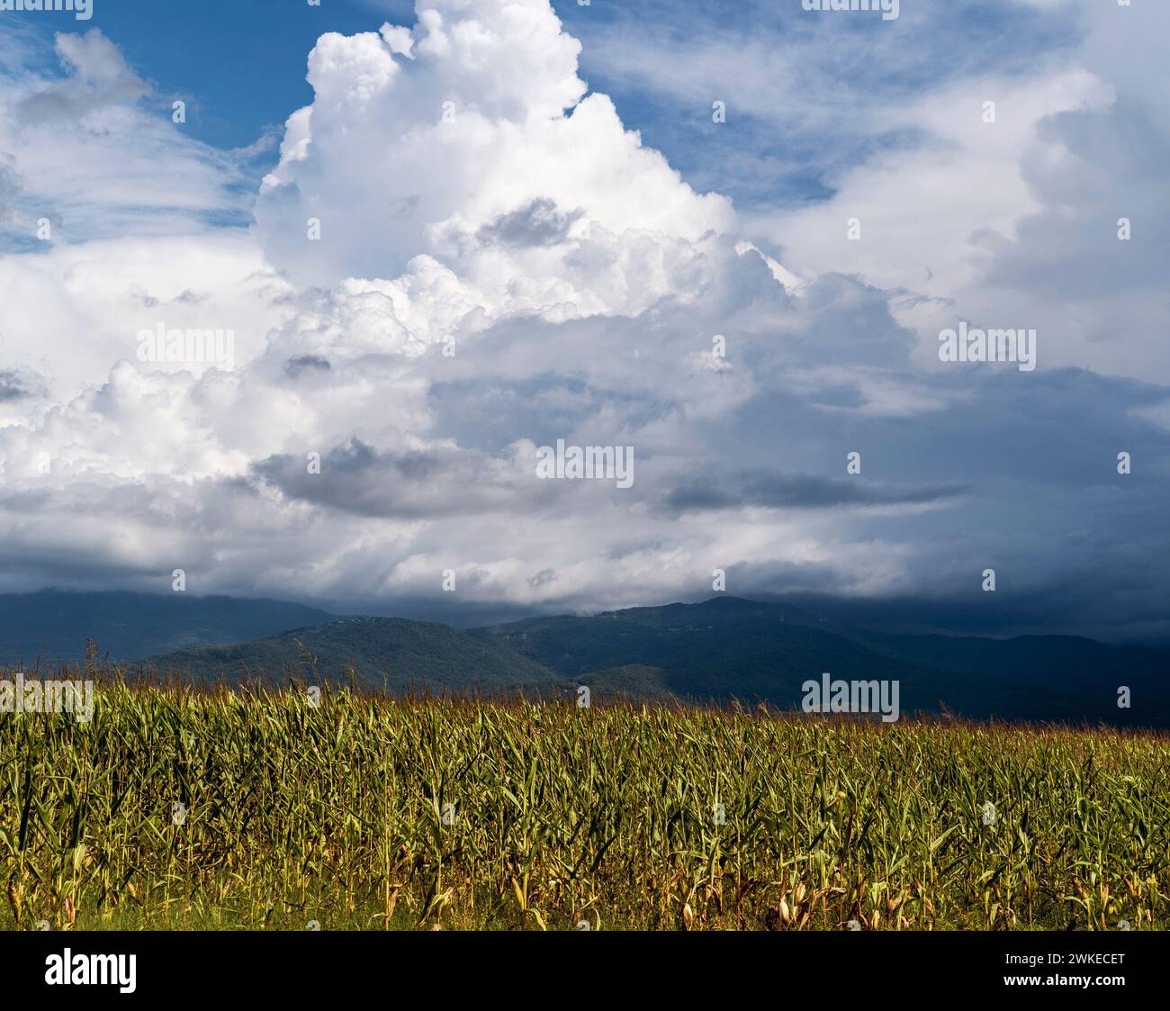 a grass field under a cloudy sky with mountains in the distance in ...