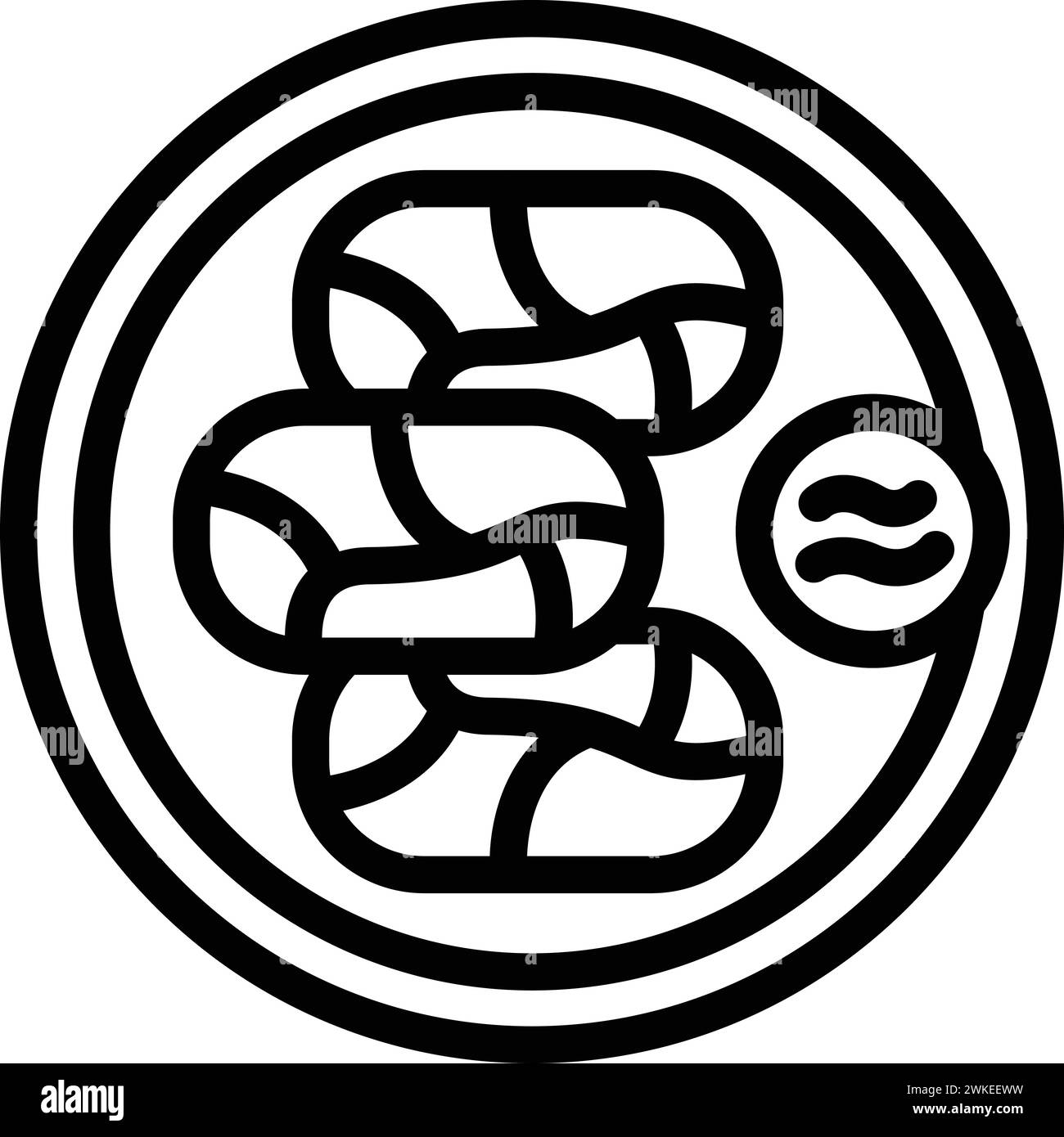 Mediterranean dolma icon outline vector. Traditional food cuisine 