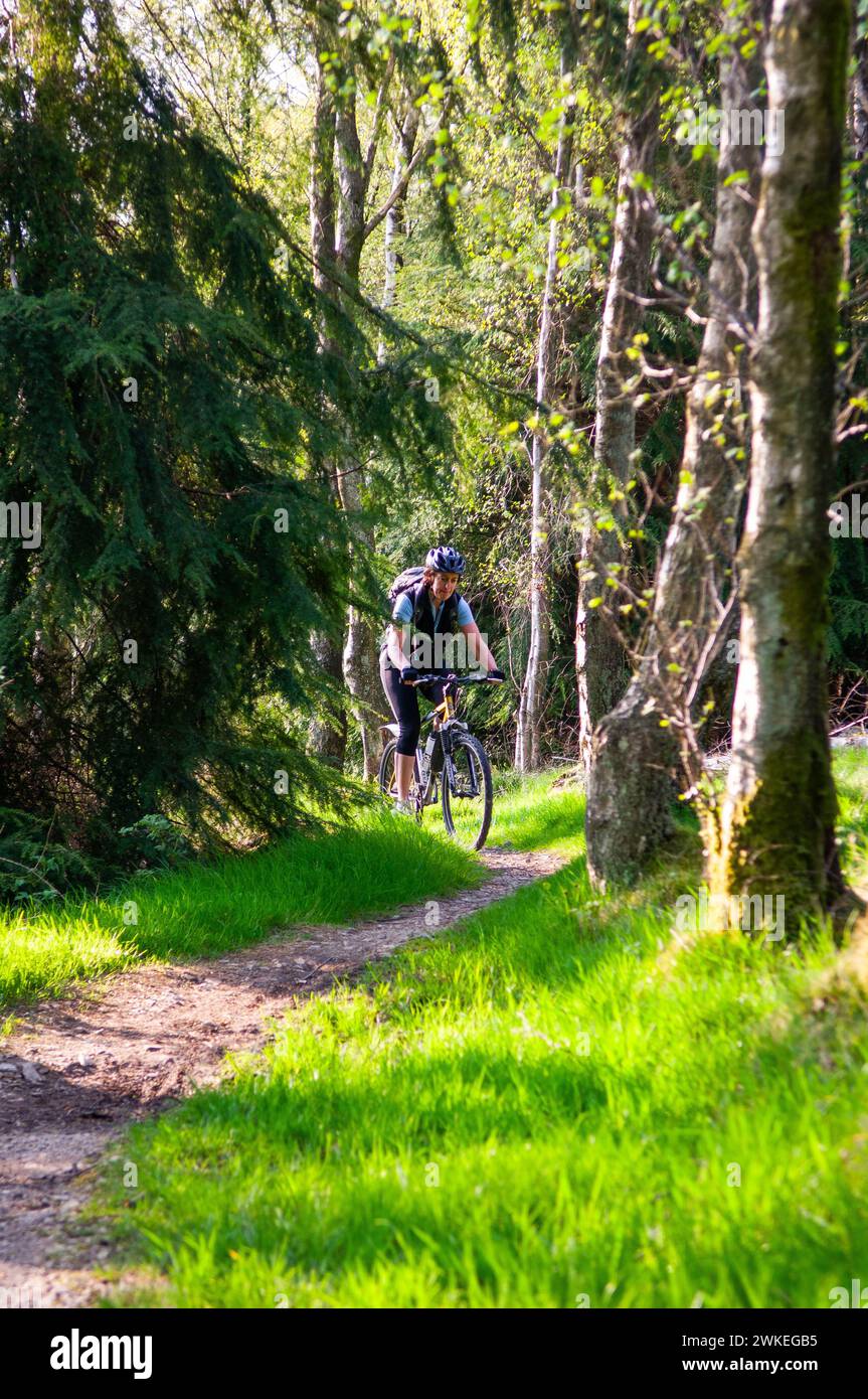 Gentle Riding Female mountain biker on a gentle ride in Gisburn Forest, Lancashire ...