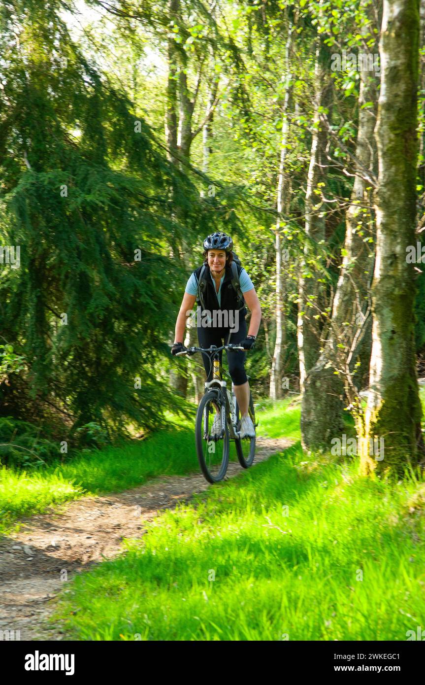 Gentle Riding Female mountain biker on a gentle ride in Gisburn Forest, Lancashire ...