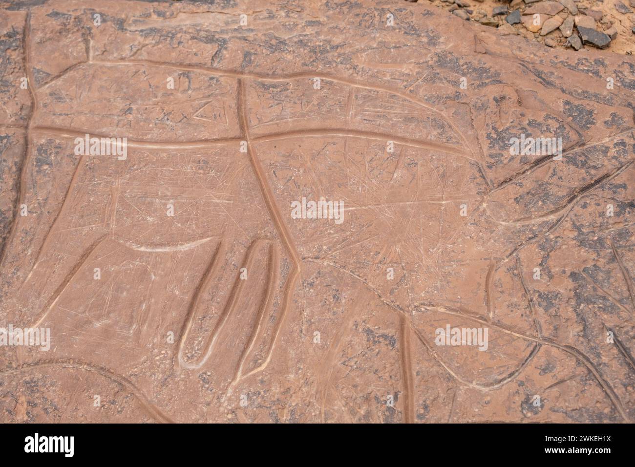 petroglifo, yacimiento rupestre de Aït Ouazik, finales del Neolítico, Marruecos, Africa. Stock Photo