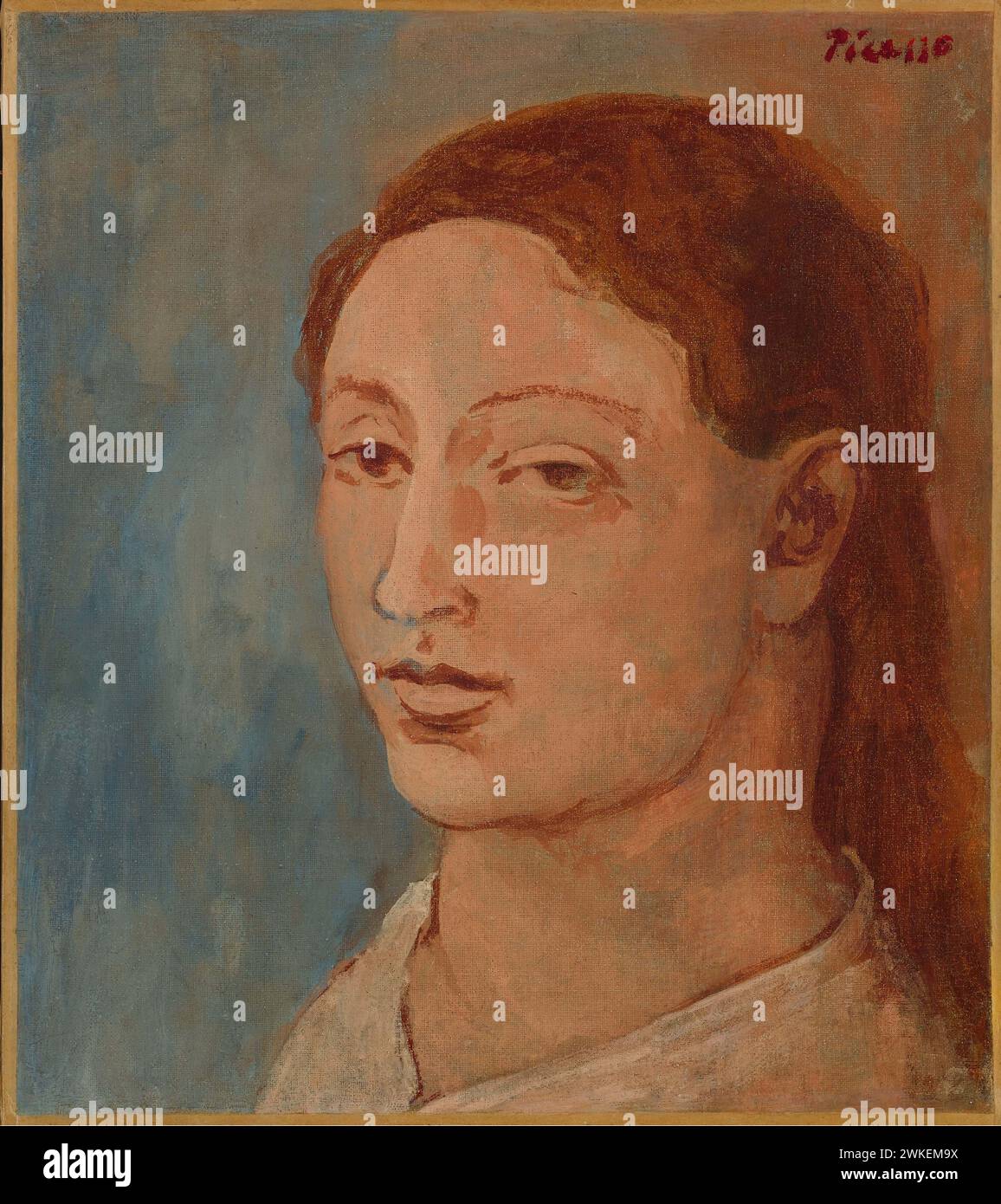 t-te-de-fernande-museum-privatsammlung-author-pablo-picasso-stock