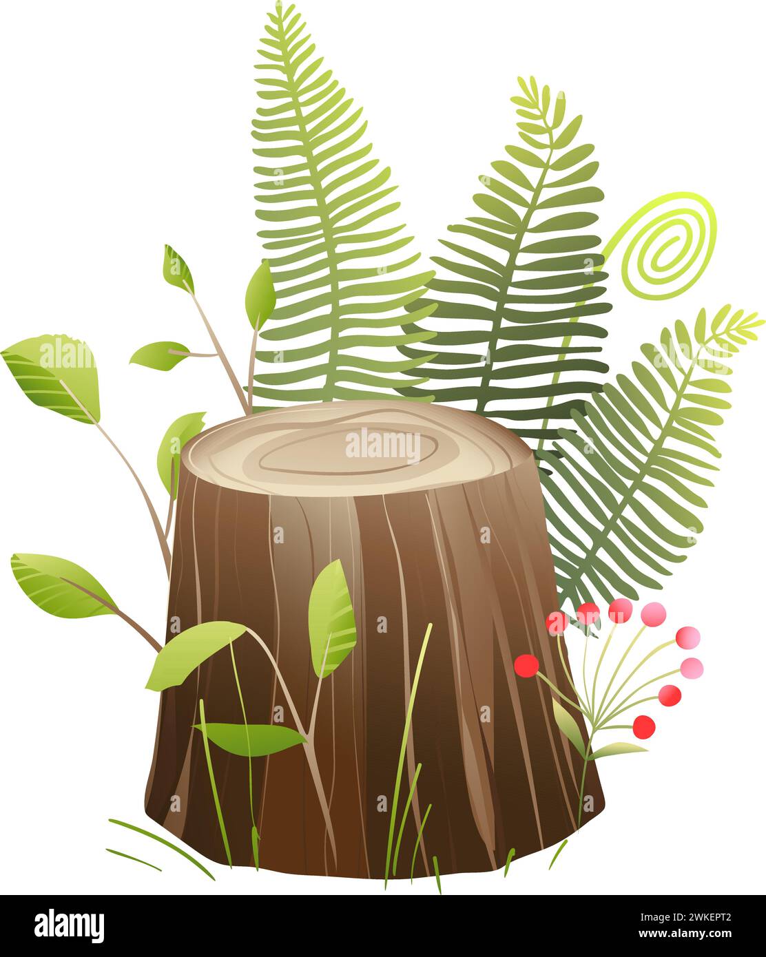 Tree stump with grass and fern, illustrated nature Stock Vector