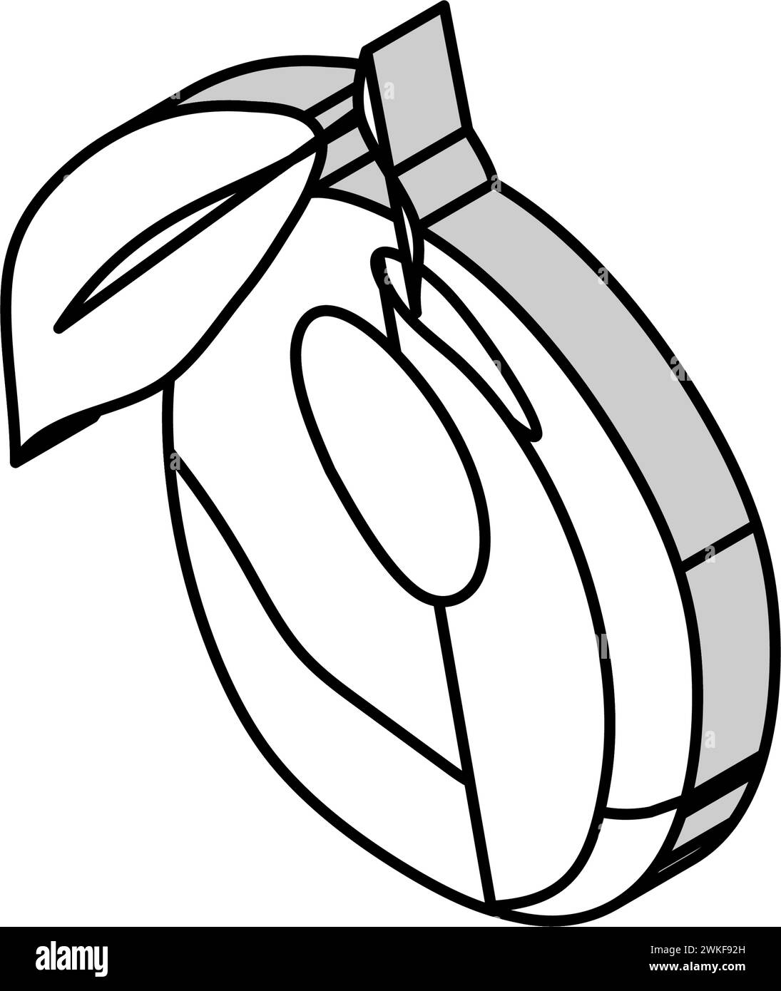 plum purple leaf isometric icon vector illustration Stock Vector Image