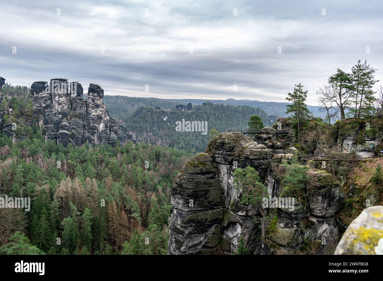 Switzerland saxony tree stone hi-res stock photography and images - Alamy
