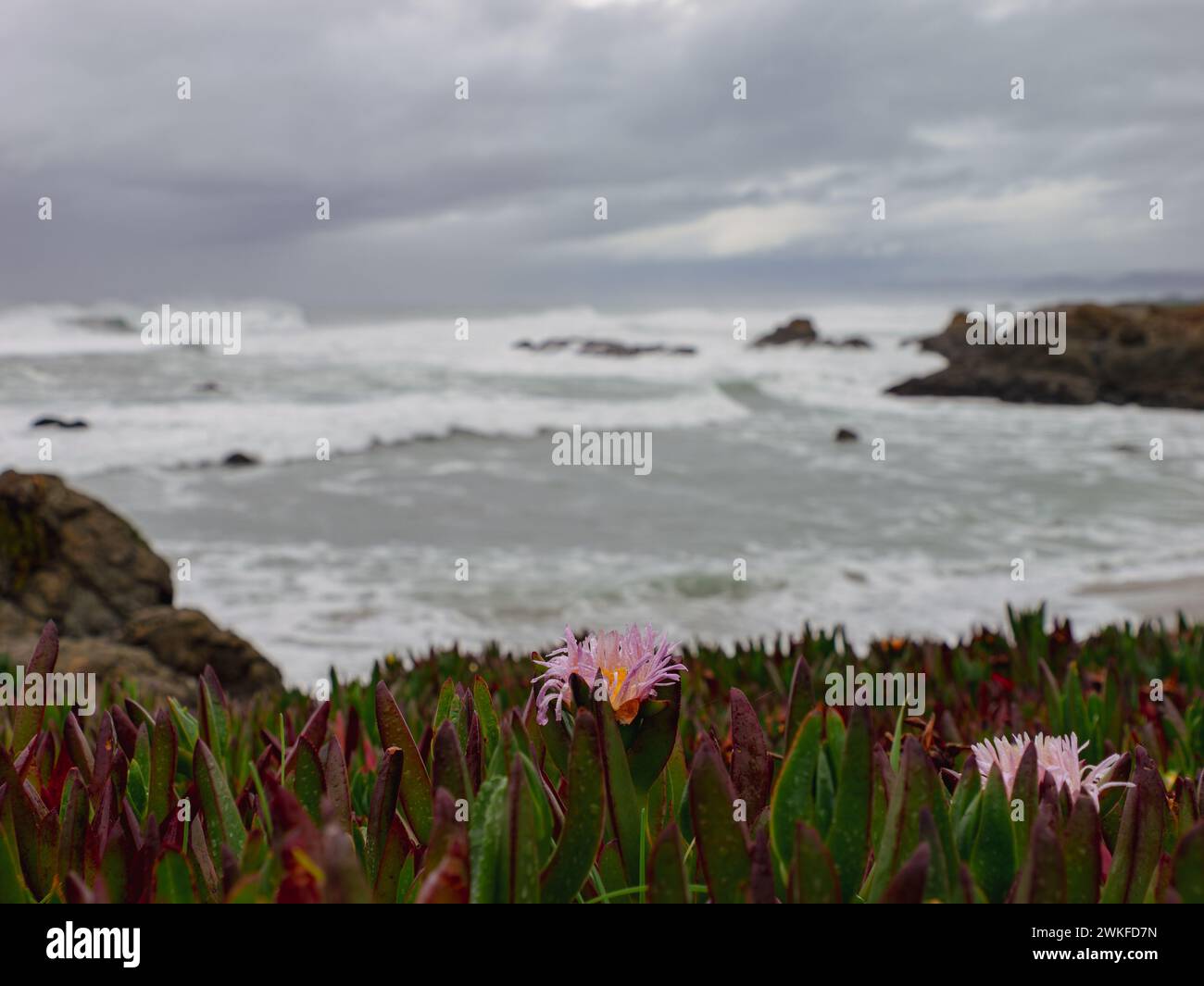 A glass beach by the ocean with rocks in California Stock Photo - Alamy