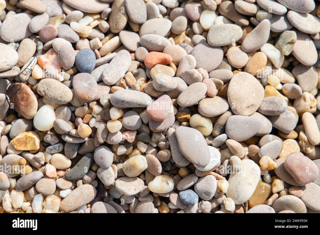 Colorful coastal pebble in a sunlight, top view, close-up background ...