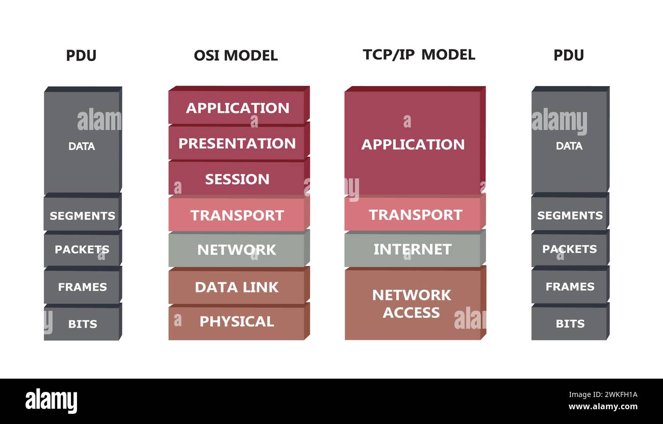 OSI and TCP model. vector Stock Vector Image & Art - Alamy