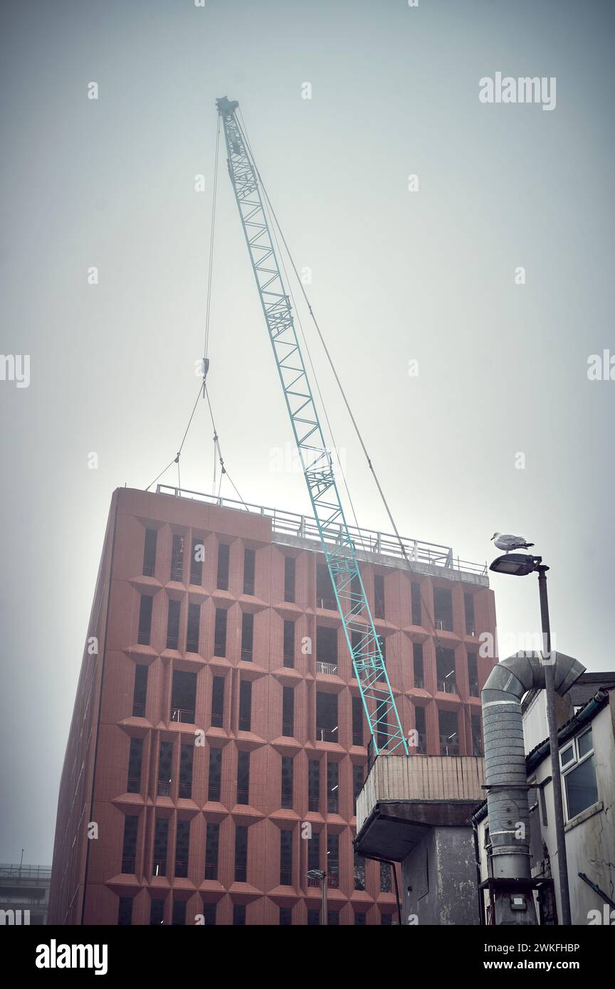 Solitary seagull watches the mist decend upon an office block under construction Stock Photo