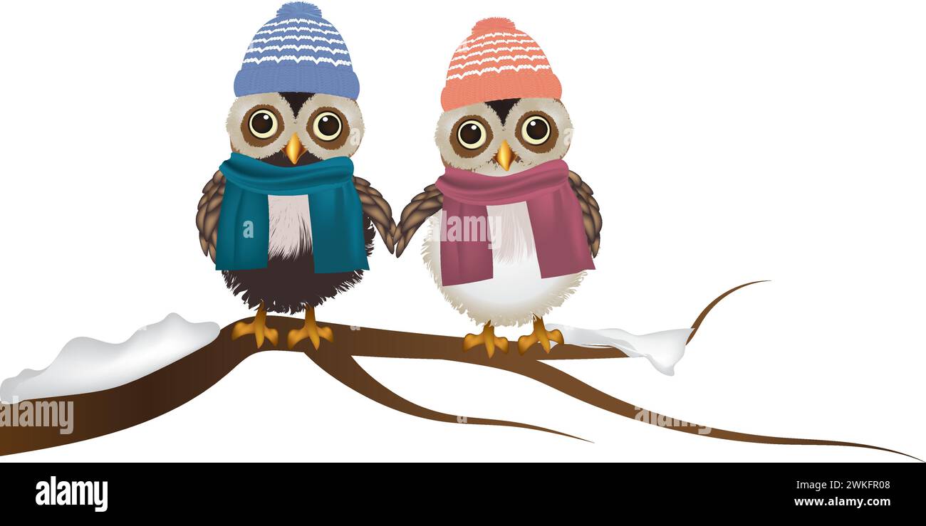 Couple of owls with scarf and hat holding hands, vector Stock Vector