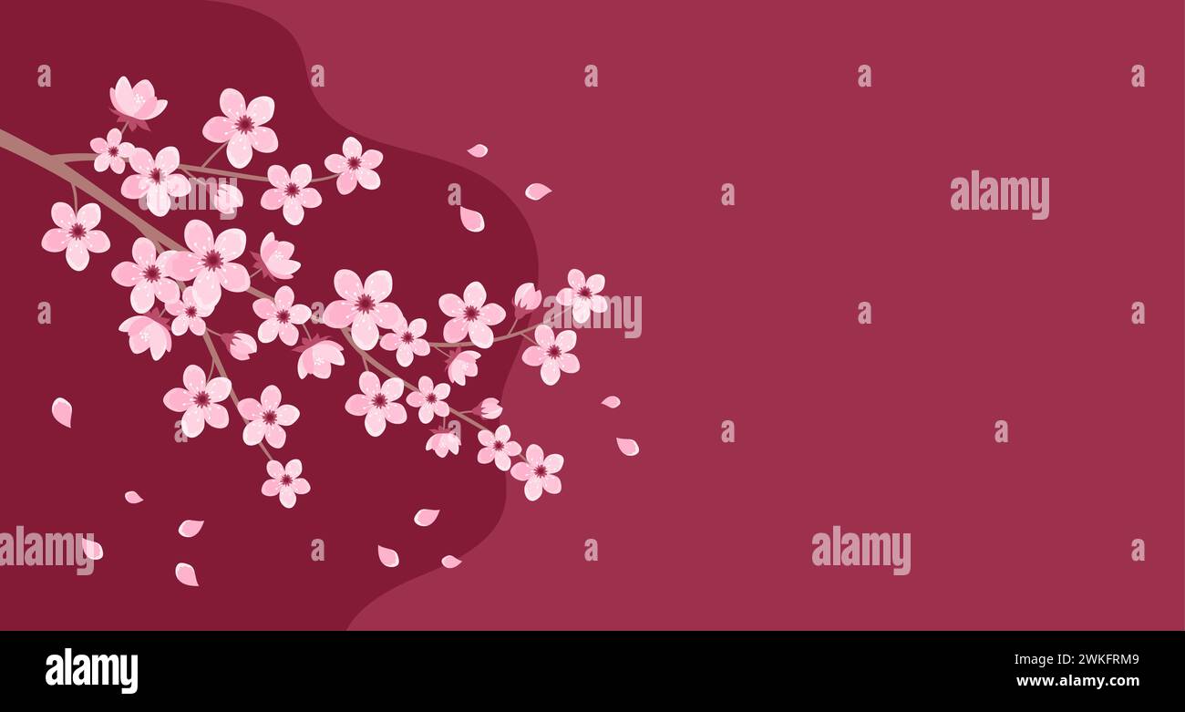Pink cherry blossom branch with falling petals on a red burgundy ...