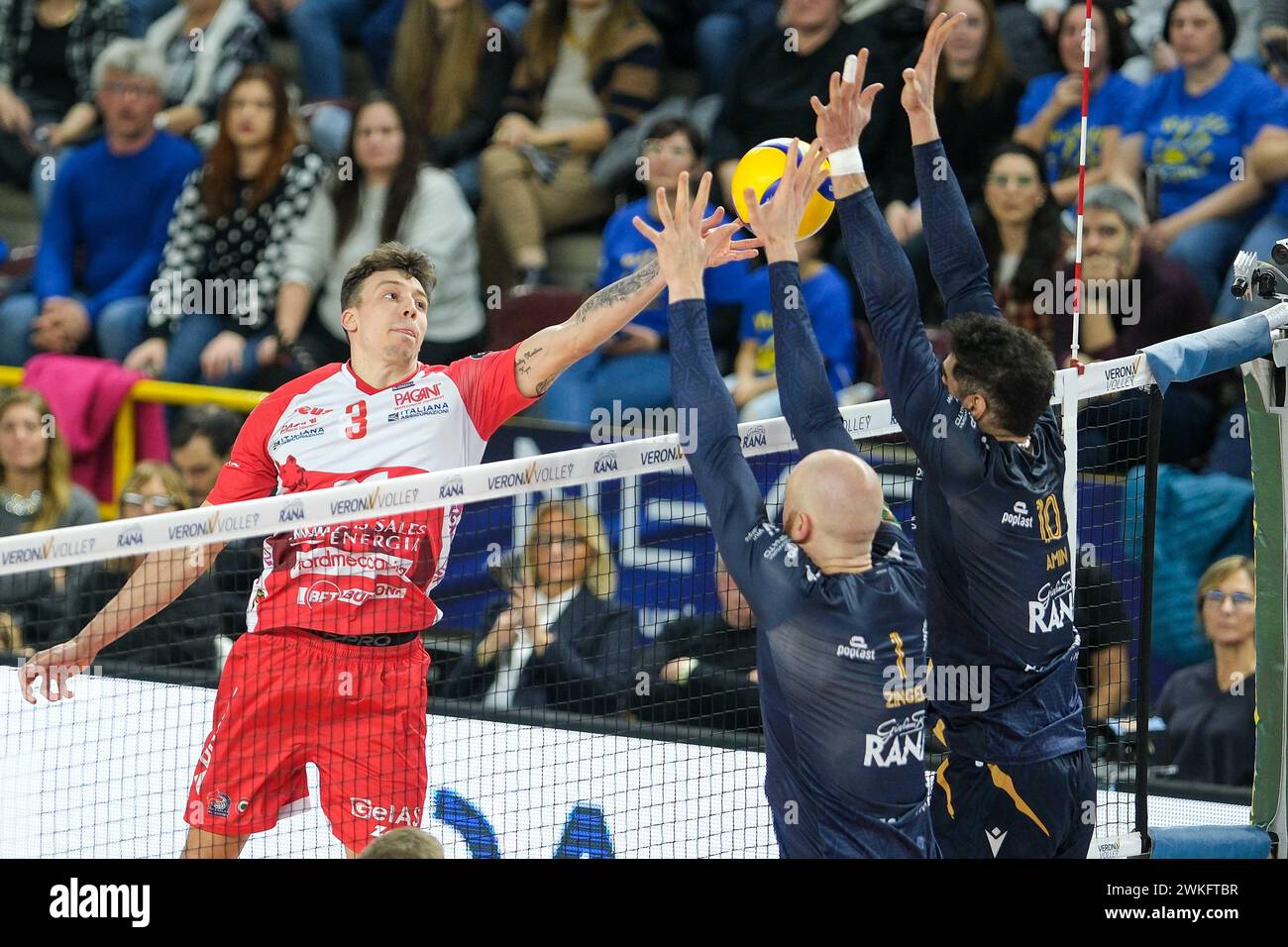 Lupi Biancorossi | Piacenza, image size:1300x956