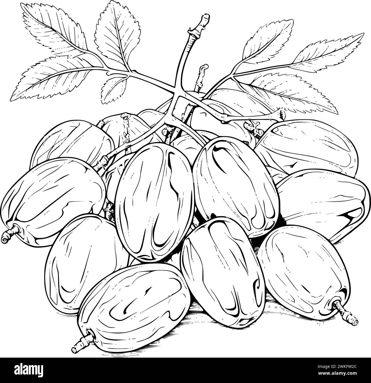 kids-coloring-pages-drawing-stock-vector-image-art-alamy