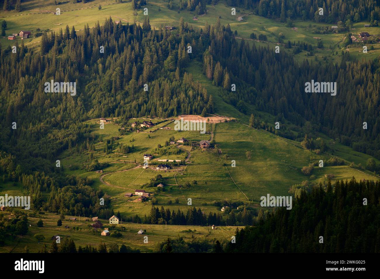 The village of Dzembronya in the Carpathians in the summer season, houses and meadows among the forest in the mountains. Stock Photo