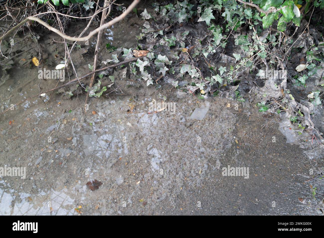 Chalfont St Peter, UK. 19th February, 2024. Raw sewage floats in the